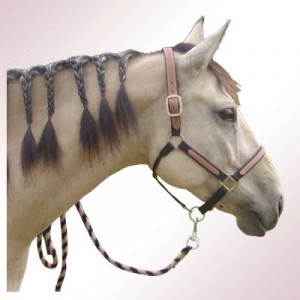 Obrazek